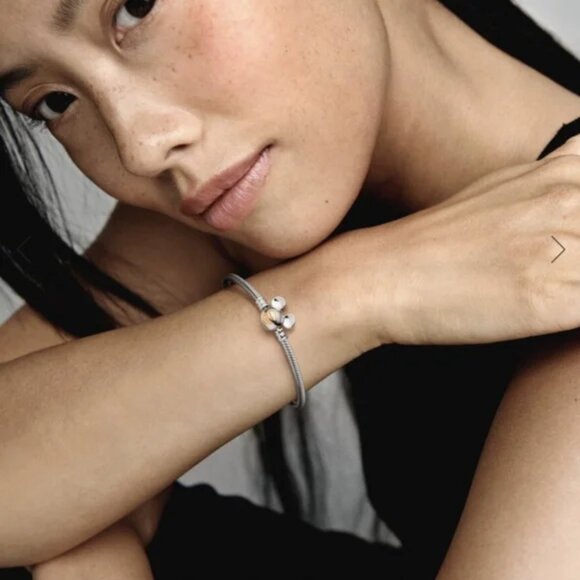 Pandora Disney 100th Anniversary Moments Snake Chain Bracelet Brand New - Picture 13 of 15